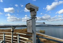 鸟儿自由翱翔、垂头寻食；为生态取修复供给科